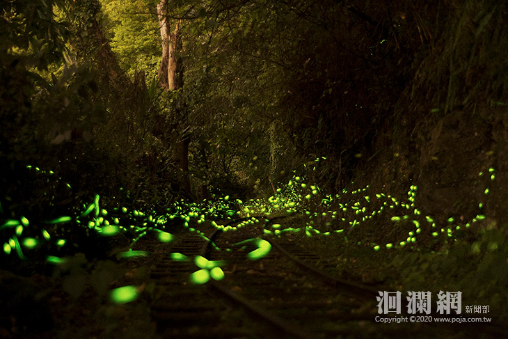 清明併兒童連假好選擇來林管處3園區大口“森氣