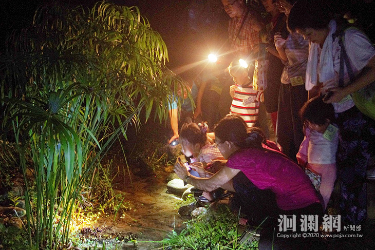 醫護人員有您真好 池南、富源森林遊樂區邀請免