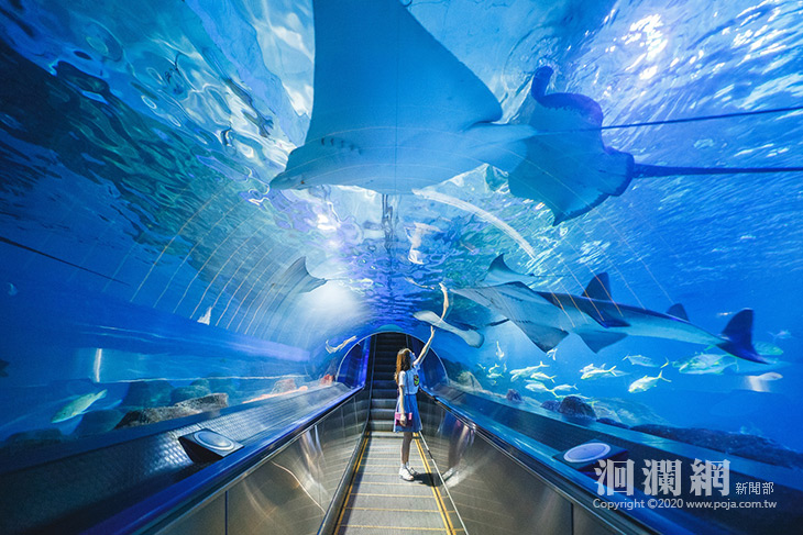 海洋公園-01.jpg