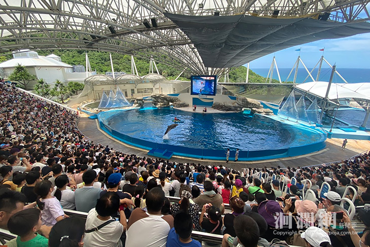 海洋公園單月破16萬人次，你也加入了嗎？洄瀾網新聞