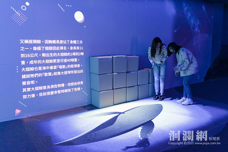 遠雄海洋公園寒假學生懶人包-同學越多越划算