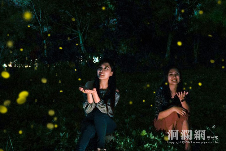 人居理想，螢漫平森，探詢火金姑的蹤跡