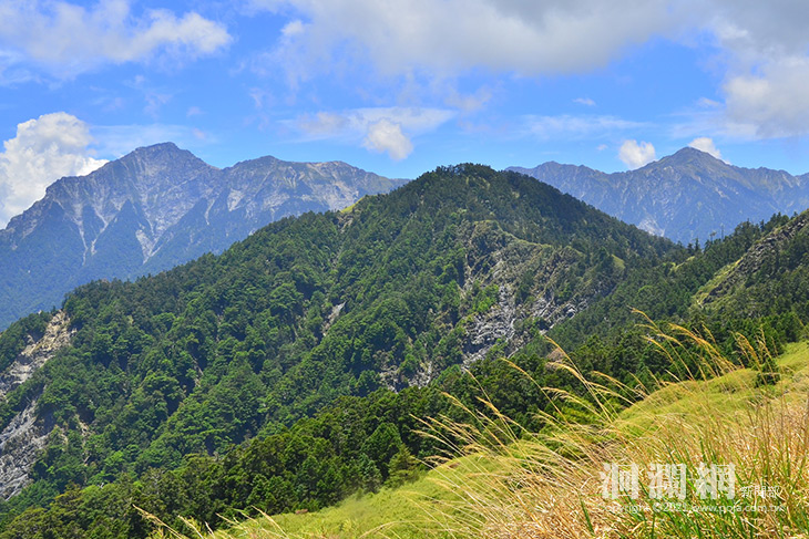 奇萊東稜迷途失聯案-太管處籲請山友建立正確登