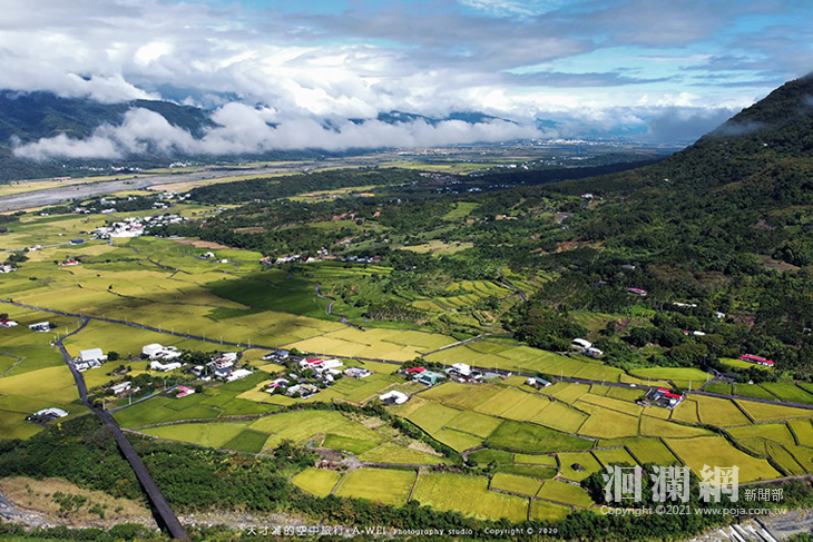 有機好米在東部，搶鮮品嚐趁現在