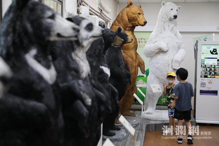 台灣黑熊教育館 全新改裝大升級，帶你一秒入山林 