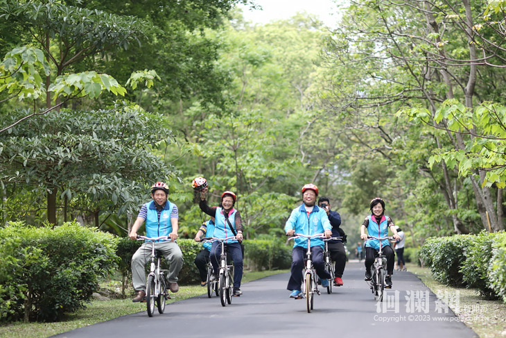 滿滿花苞含苞待放，吉安桐花祭26日起展開