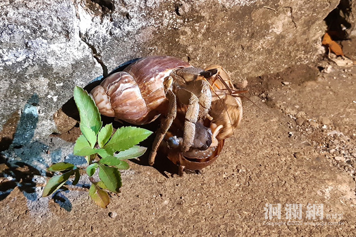 2023「夜訪小野柳環教課程活動」即將登場!