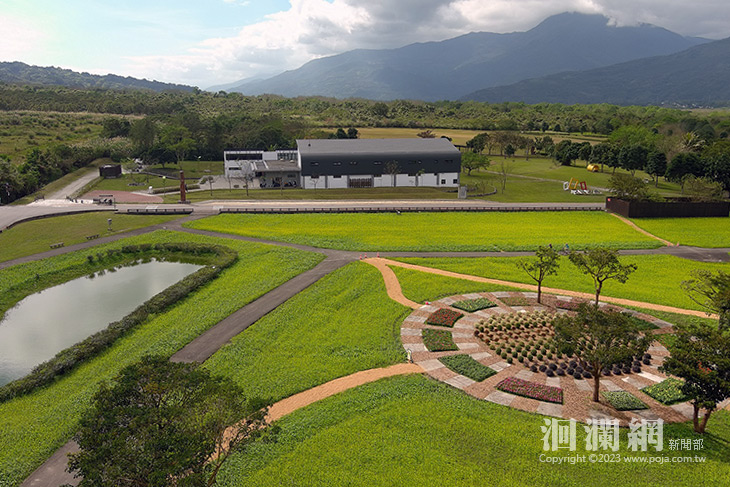 花蹤蝶影 大農大富油菜花季春節登場
