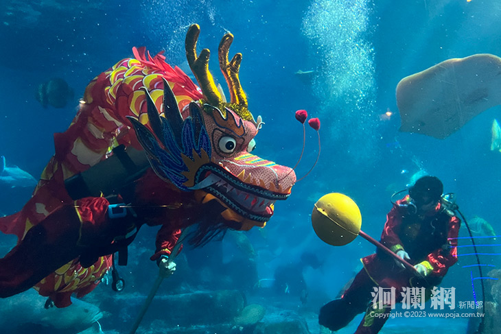 遠雄海洋公園水下舞龍迎新春 海龍王帶領魟魚 鯊