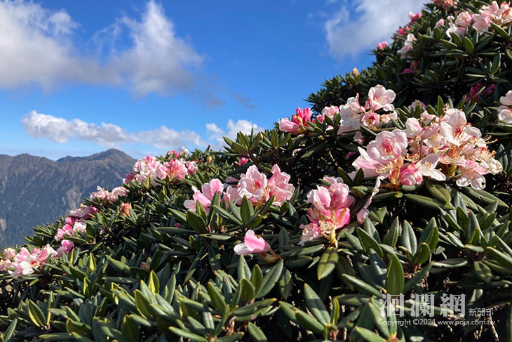 合歡山0403地震影響輕微 4/12部份步道開放