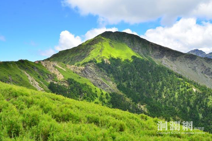 高山亂象依法裁處 太管處籲珍愛山林生態