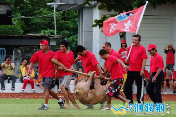豐濱鄉運動會-抓豬趣味賽