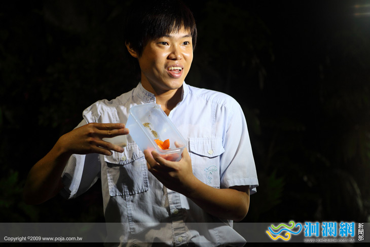 「魚吃什麼」要您大開眼界