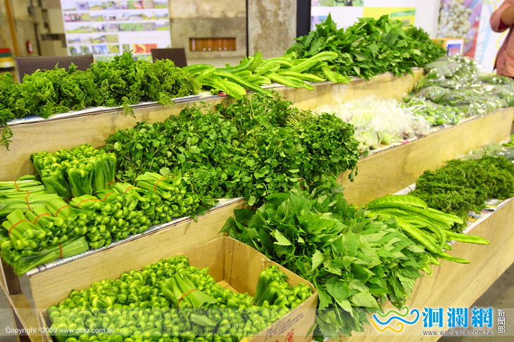 吃野菜，好健康～