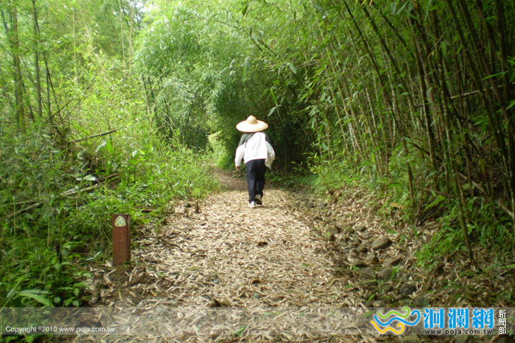 「海岸山脈大縱走」