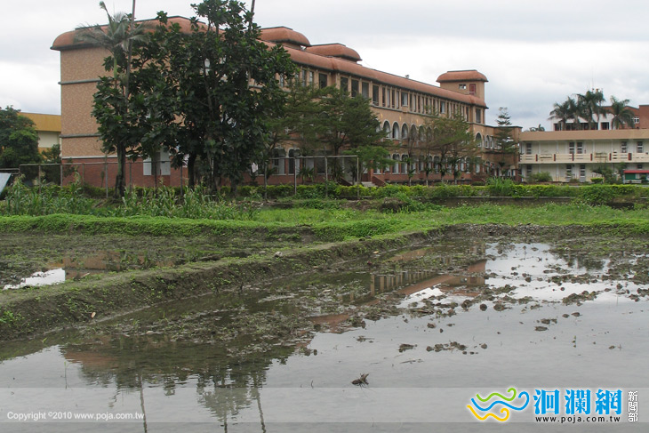 「我愛一畝田」邀請大家來插秧