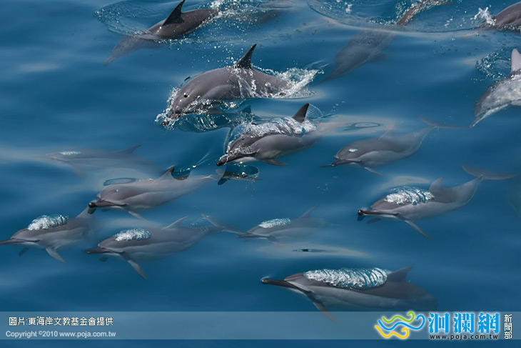 9/3海的素人攝影師，江文龍船長首次個展