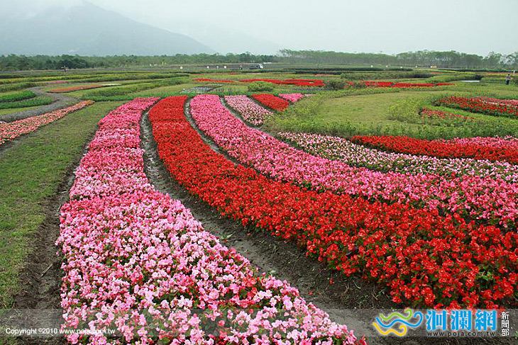 平地森林園區無障礙木棧道及春節冬季花海啟用囉