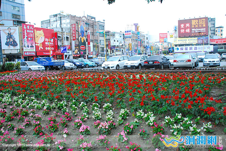 花蓮市公所補植花木 迎接新年‏