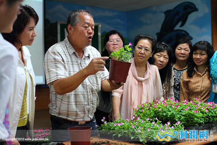 市公所園藝研習-原來種花這麼簡單