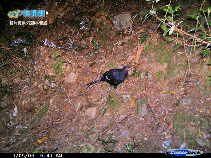 林管處-10.jpg