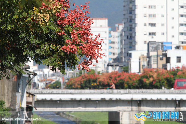市公所-02.jpg