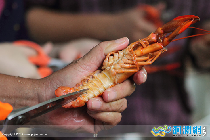 淡水龍蝦-07.jpg