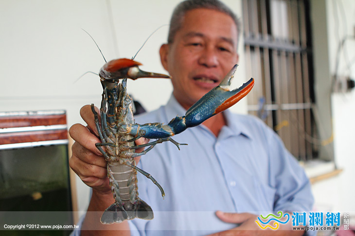 淡水龍蝦-01.jpg