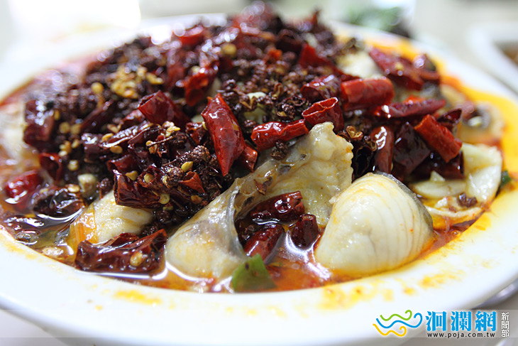 花蓮也吃的到四川道地水煮魚料理