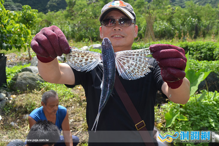 臺觀生參加南澳鄉東澳村飛魚季文化活動