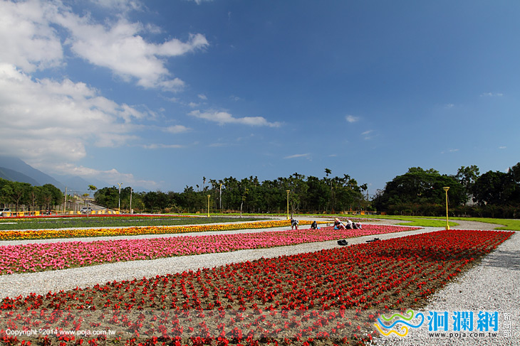  國福花海寫生暨草地親子活動周六登場