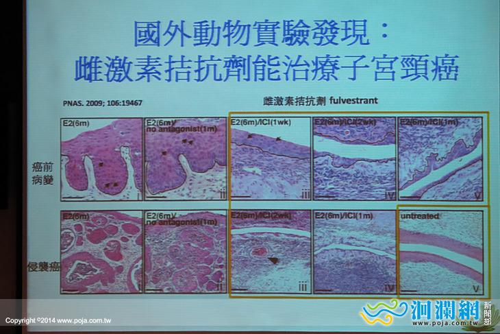 慈濟-03.jpg