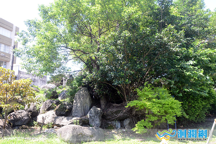 市公所庭石-01.jpg