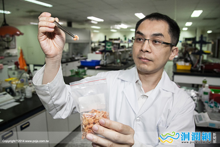 端午節食品抽驗，檢出蝦米二氧化硫超量不合格