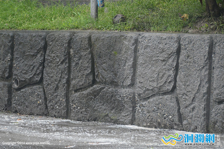 市公所小黑蚊-02.jpg