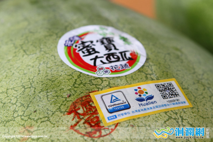 蜜寶大西瓜上市，每顆嚴選認證品質保證