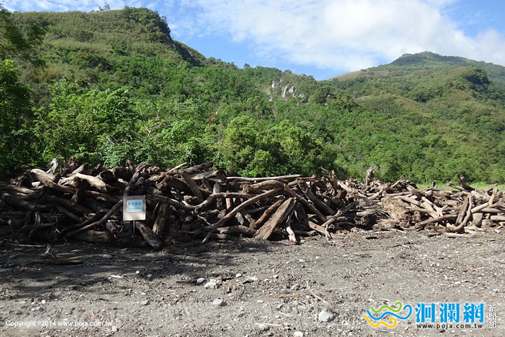 花蓮地區漂流木 10/29起 開放設籍花蓮民眾撿拾