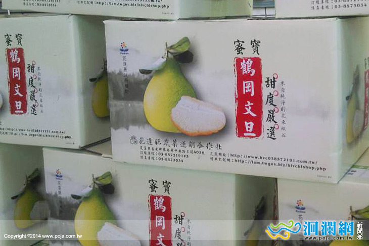 文旦柚-04.jpg