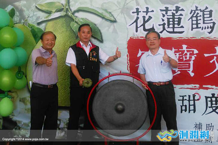 鶴岡蜜寶文旦開賣，張智超敲鑼掛保證