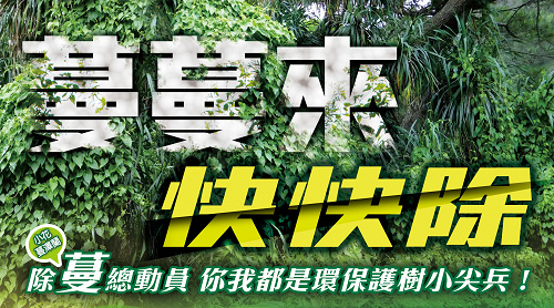 除蔓總動員，你我都是環保護樹小尖兵