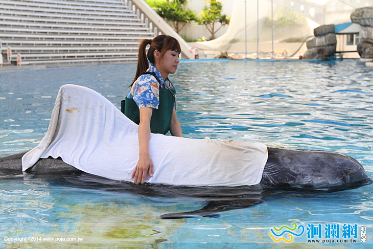 第十四屆鯨豚生態與保育研討會海洋公園展開