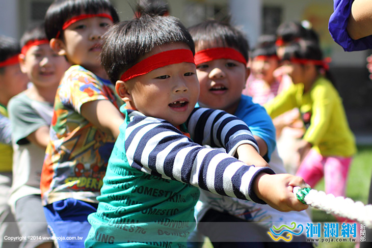 市幼拔河-02.jpg