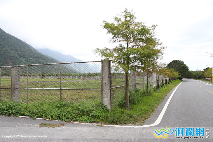 市公所認養軍方土地，擴大國福花海面積