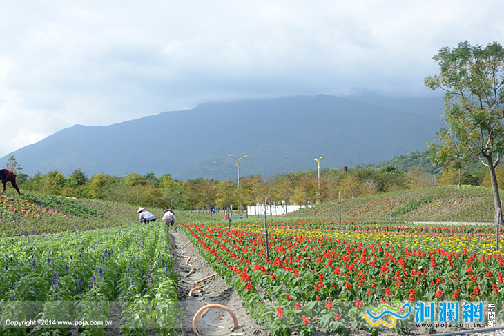 國福花海-02.jpg