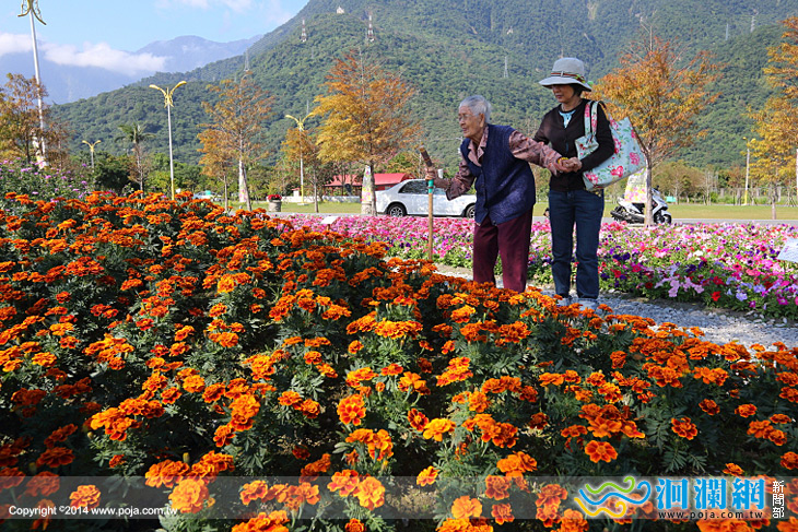 國福花海-05.jpg