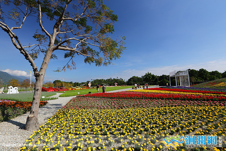 國福花海-04.jpg