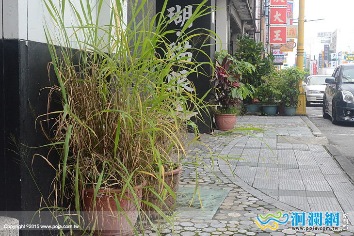市公所-02.jpg