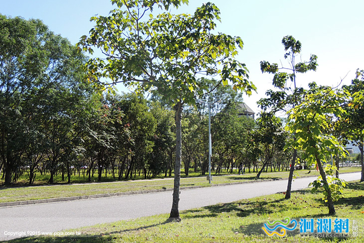 林管處東華-02.jpg