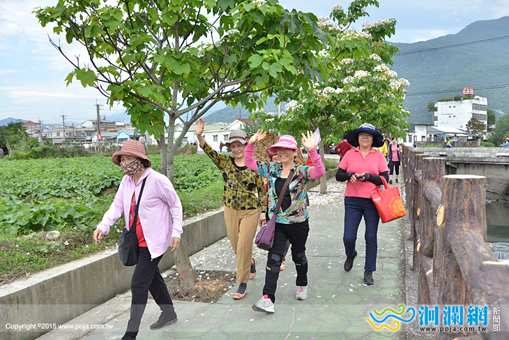 花園城市，創意農村、書香文化吉安桐花祭