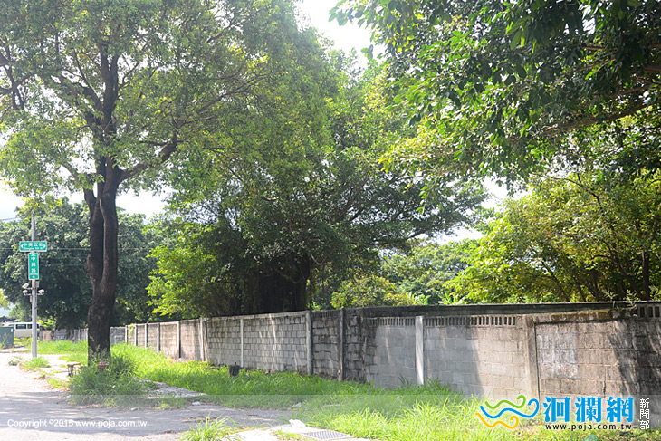 市公所台肥-03.jpg